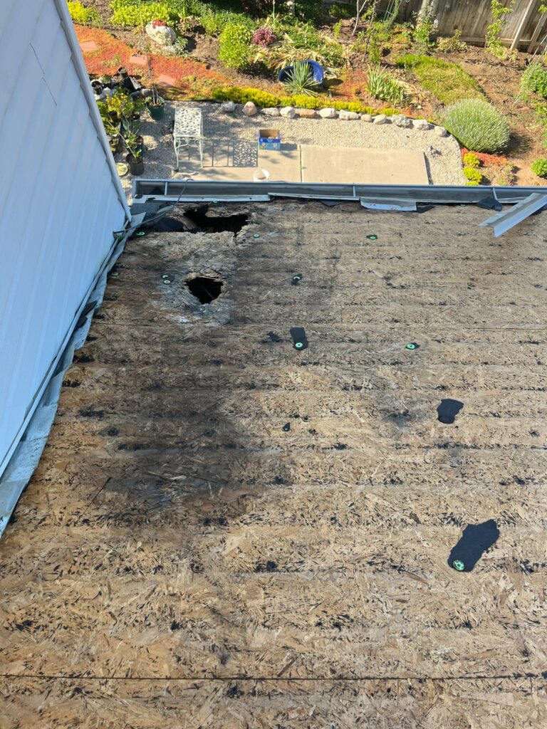 This rotted, moldy roof needs to be replaced. 